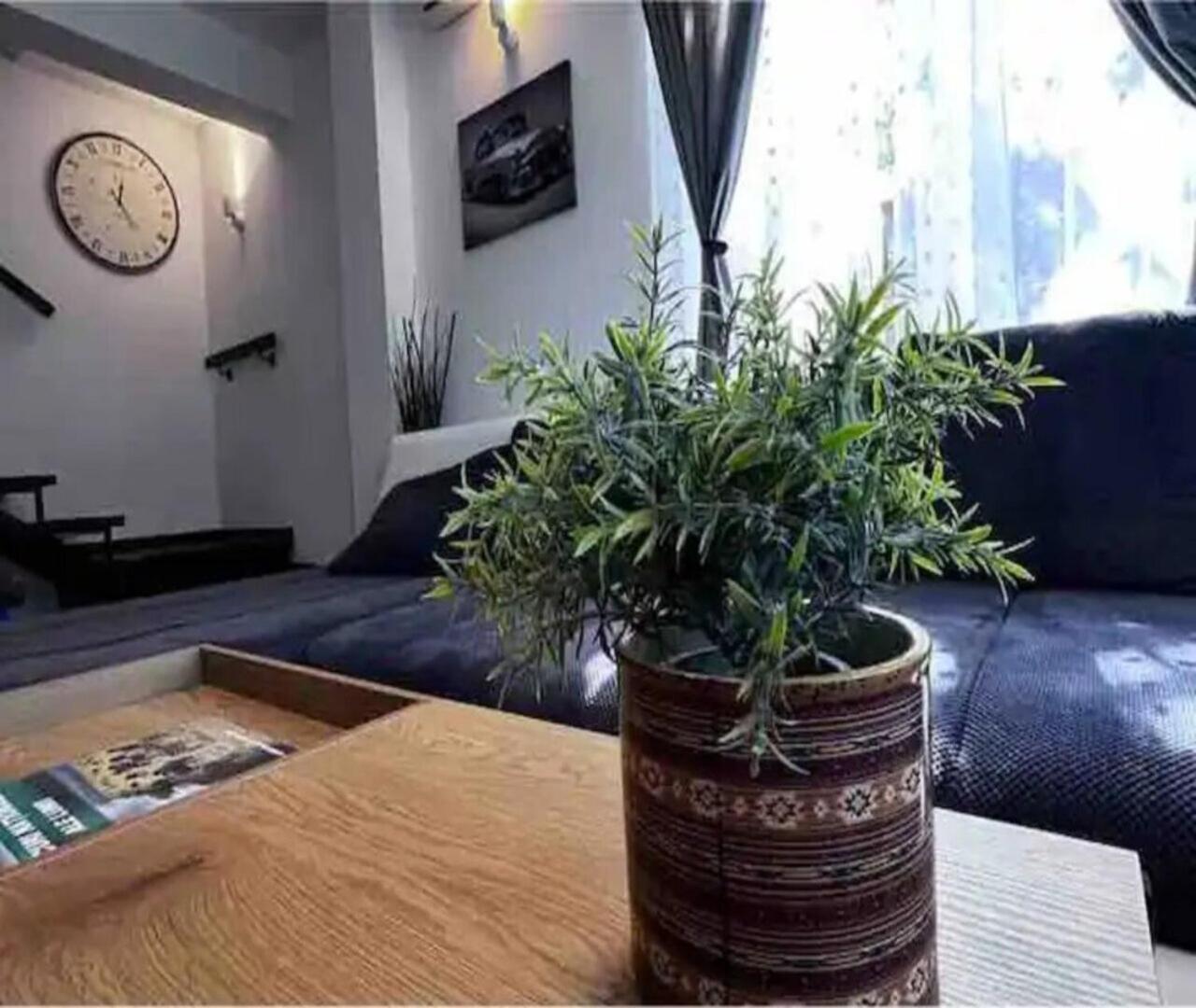 Vila Luminoasa Cu Curte Privata 布加勒斯特 外观 照片
