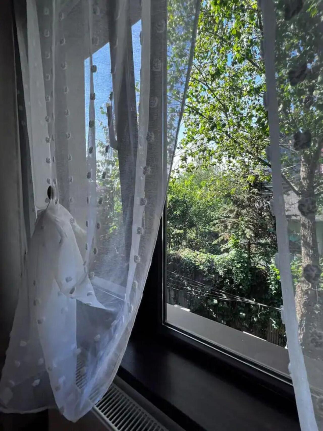 Vila Luminoasa Cu Curte Privata 布加勒斯特 外观 照片