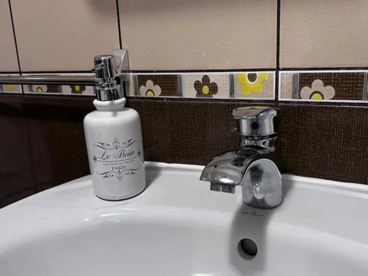Vila Luminoasa Cu Curte Privata 布加勒斯特 外观 照片
